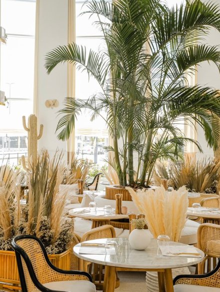 WhatsApp Image 2019-11-12 at 12.43.21 PM (1)